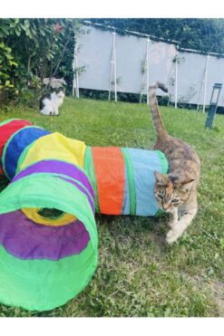 minossa 3 Yollu Renkli Katlanır Kedi Ve Köpek Oyun Tüneli, Eğlenceli Evcil Hayvan