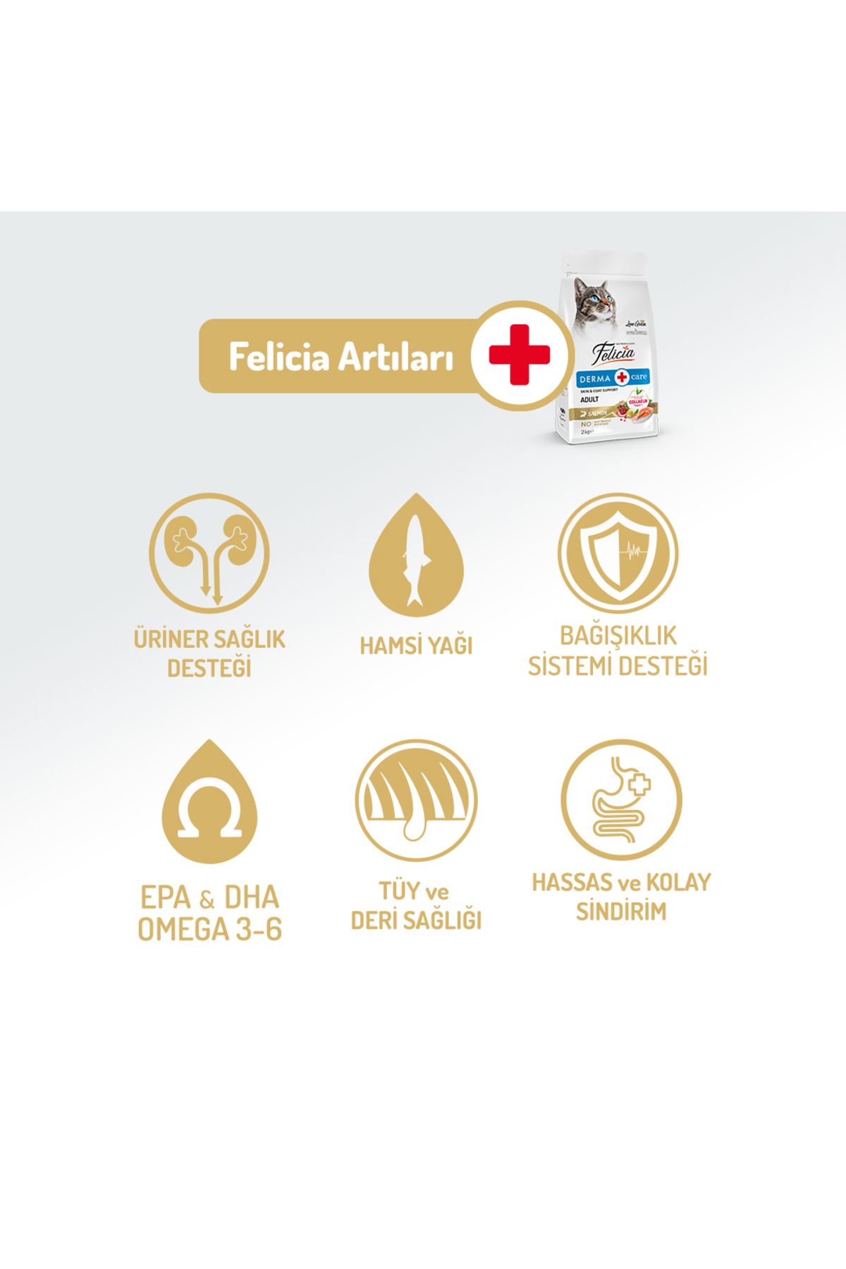 Felicia Kolajen Destekli Hipoalerjenik Somonlu Yetişkin Kedi Maması 2KG - Görsel 2