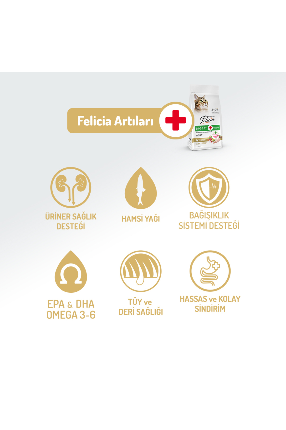 Felicia Kolajen Destekli Hipoalerjenik Tavuklu Yetişkin Kedi Maması 2KG - Görsel 2