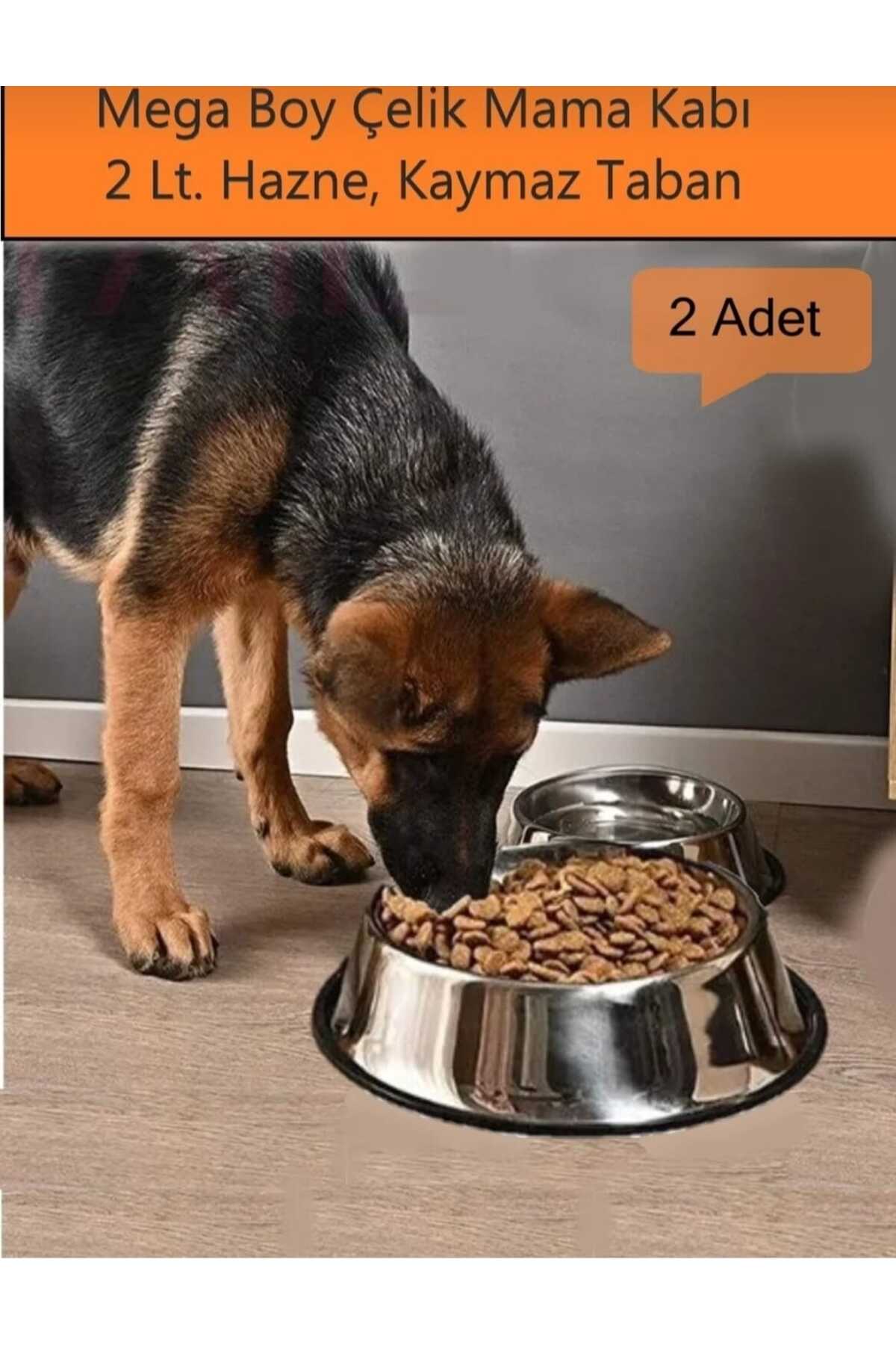 NEWSTORE HOME 2 Adet Büyük Boy Paslanmaz Çelik Mama Ve Su Kabı, Kaymaz Alt Taban 33 Cm (2000 ML