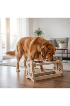 ustaagac Kedi Köpek Profesyonel, Yükseklik Ayarlı Mama Su Kabı