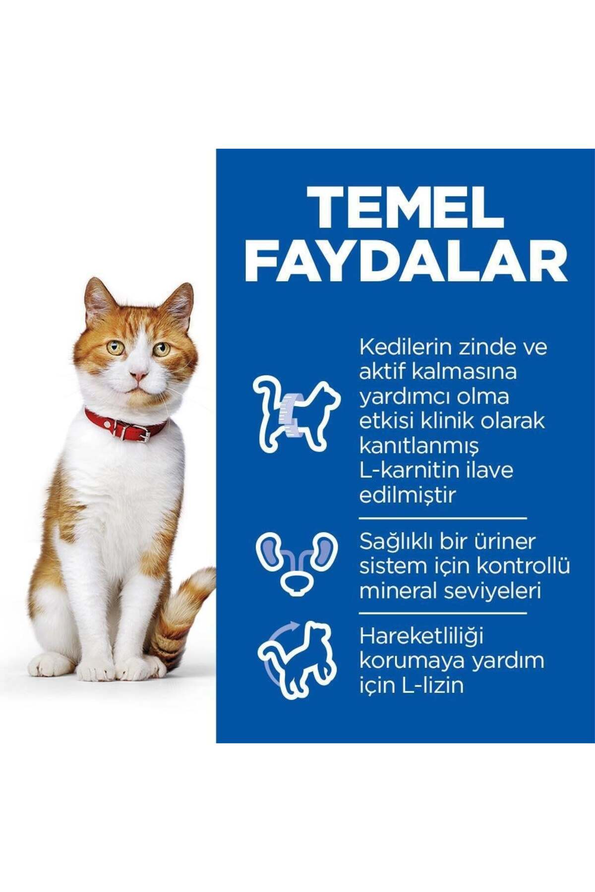 Hill's Adult Sterilised Somonlu Kısırlaştırılmış Kedi Maması 10 Kg - Görsel 2