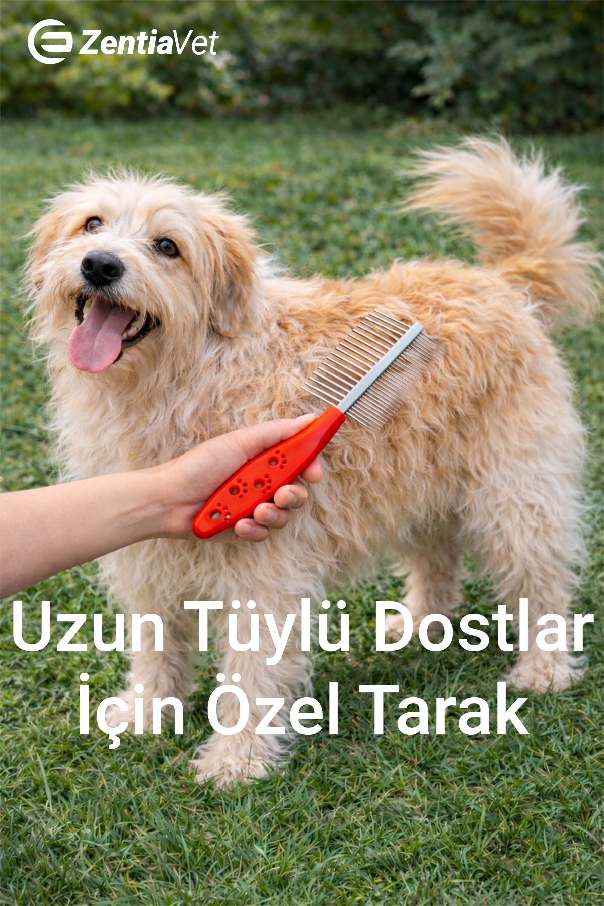 zentiavet Kedi ve Köpek Çift Taraflı Kıtık Açıcı Tarak - Görsel 2