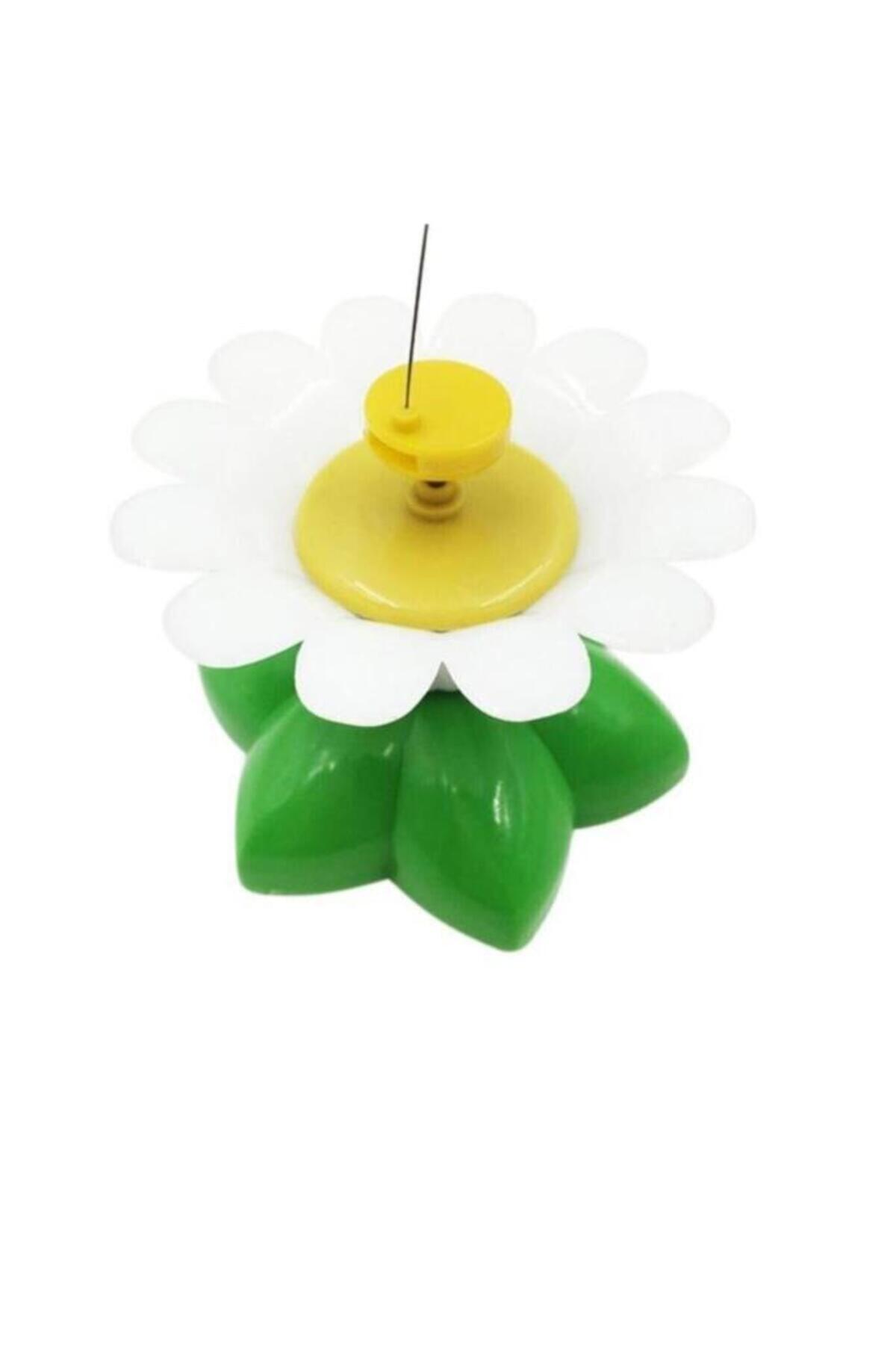 Ars Shopping Kelebek Şeklinde Hareketli Dönen Pilli Kedi Oyuncağı Glrshop - Görsel 2