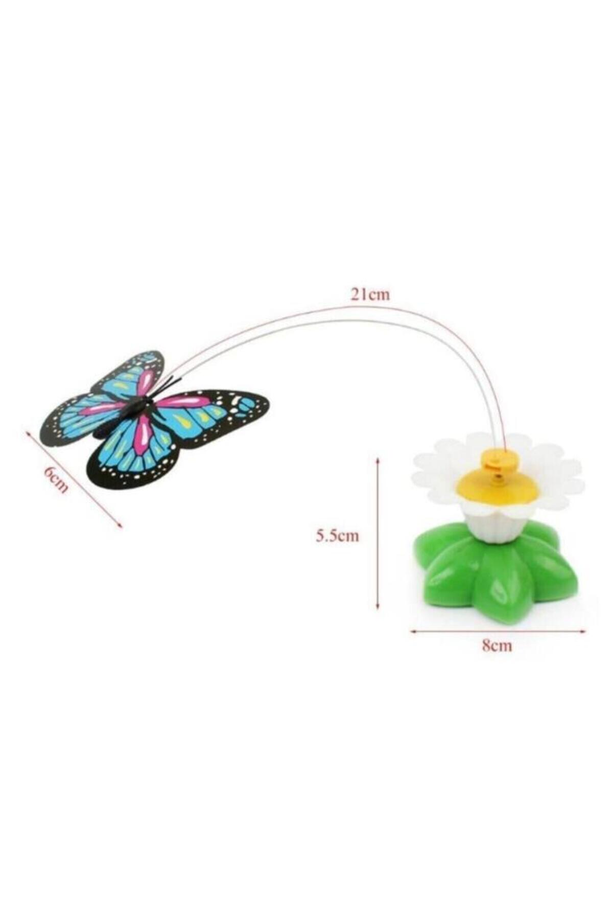 Ars Shopping Kelebek Şeklinde Hareketli Dönen Pilli Kedi Oyuncağı Glrshop - Görsel 3
