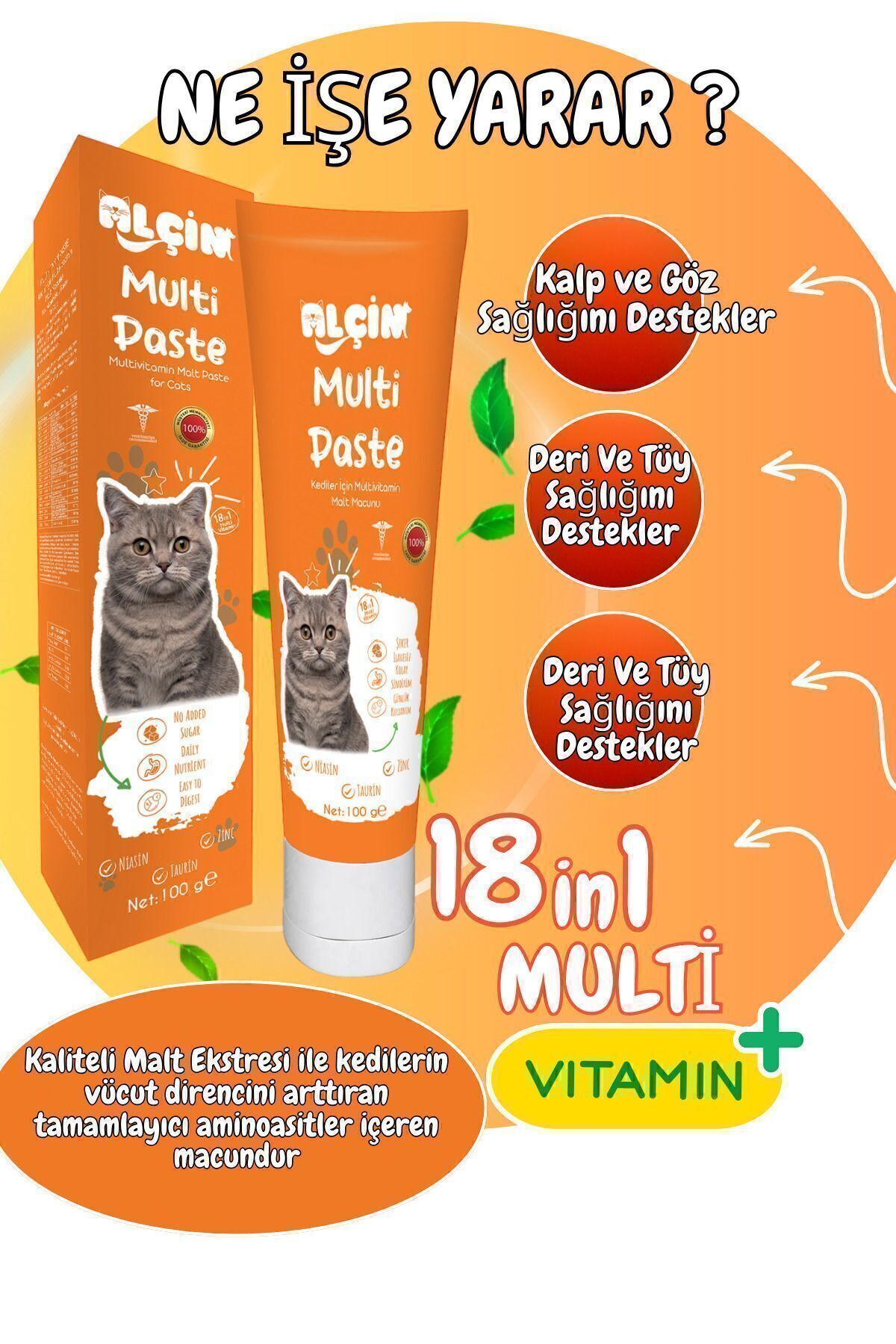 ALÇİN Multivitamin Macun 100g (KEDİLERDE BAĞIŞIKLIK SİSTEMİ DESTEKLEYİCİ TÜY YUMAK ÖNLEYİCİ MACUN) - Görsel 2