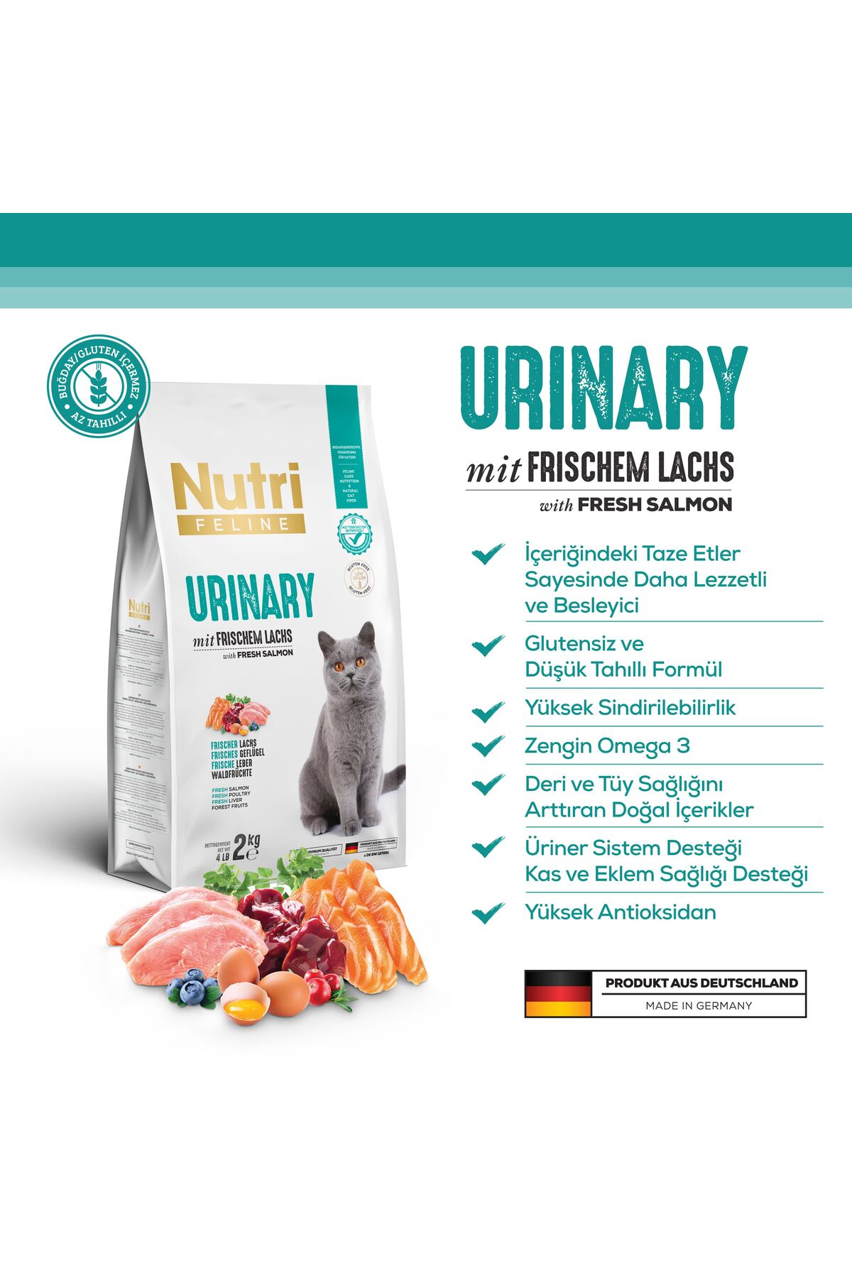 Nutri Feline Böbrek Sağlığı Destekleyici Taze Somonlu Düşük Tahıllı Glutensiz Yetişkin Kedi Maması 2 Kg - Görsel 2