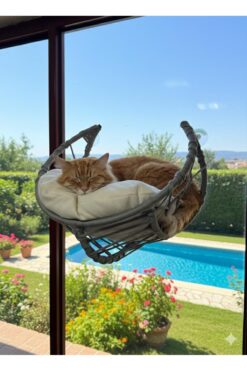 PetsandCompany Vantuzlu Cam Önü Kedi Yatağı Gri Örgü Tasarım Minderli Kedi Hamak Seyir Terası