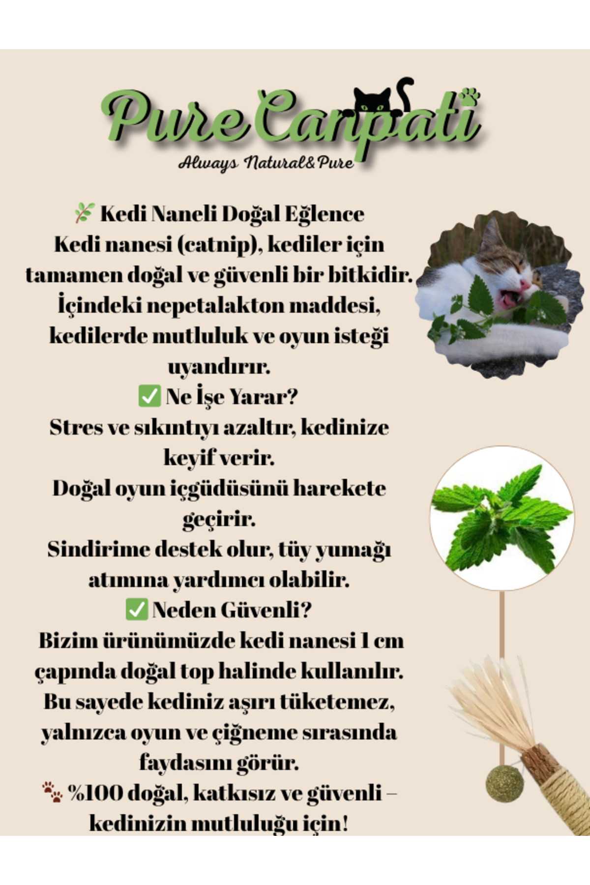 PureCanpati Kedi Naneli Matatabi Çubuğu– Kediler Için Doğal Oyun ve Mutluluk 🌿🐾 1 Adet - Görsel 3