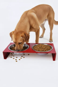 TGPET Dolcedo Xl Büyük Irk Metal Mama Kabı Standı