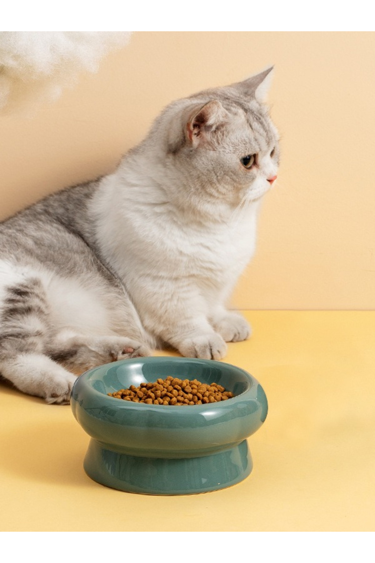 Genel Markalar Yeşil Seramik Mama ve Su Kabı 180mL, Sağlıklı ve Şık Tasarım - Görsel 2