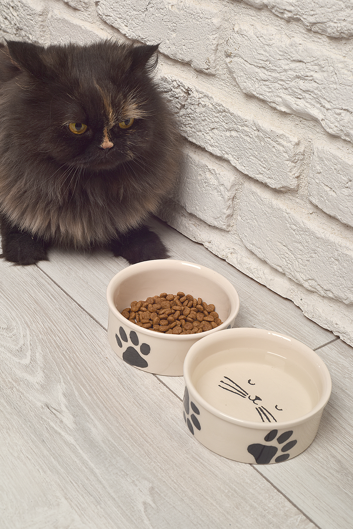 HızlıTrend 2'li Seramik Kedi köpek mama kabı (300ml)