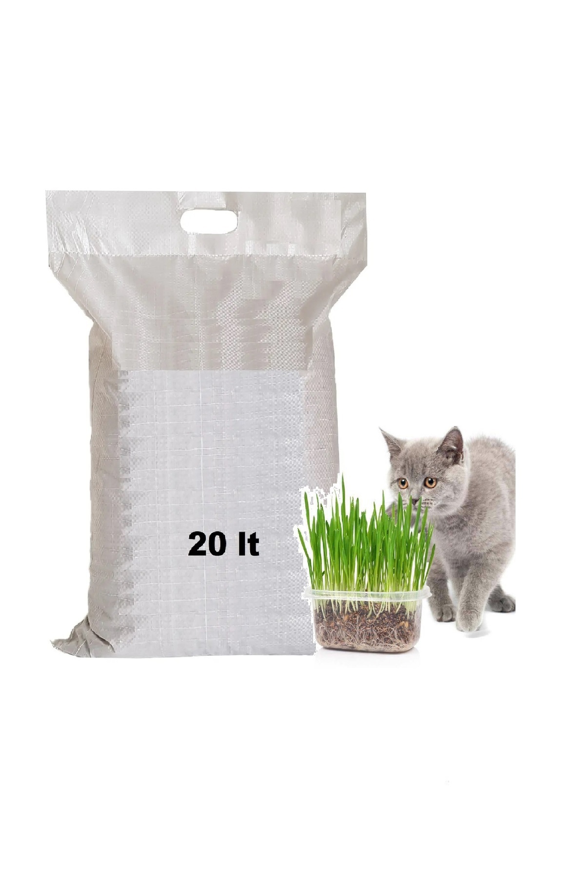 AKACAT 20 Lt Beyaz Bentonit Doğal %100 Topaklaşan Ince Taneli Kedi Kumu (Kedi Çimi Hediye) - Görsel 3