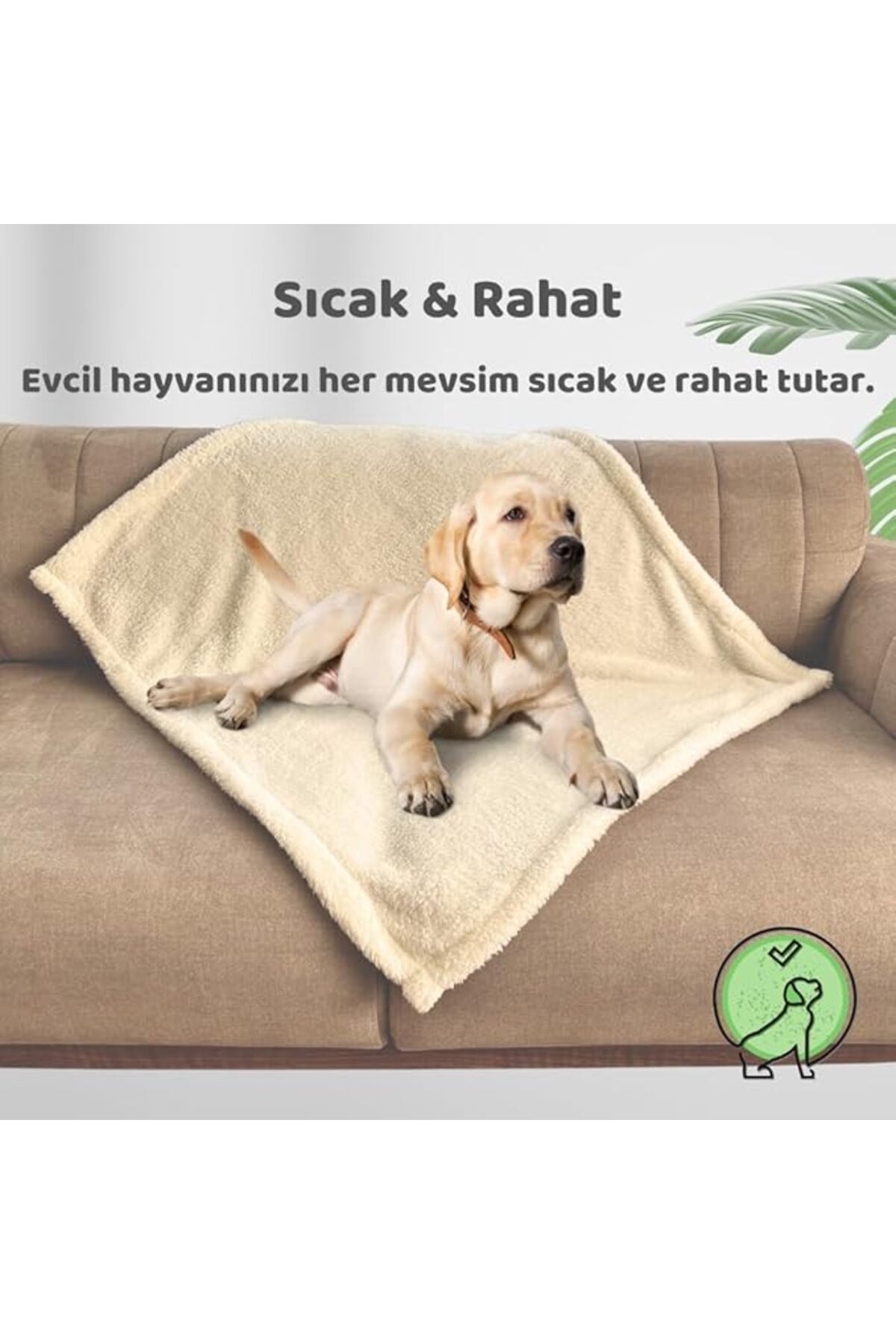 Reflex Plus Meaty Mini Sticks Kedi Ödül Maması 5 Adet x 2 gr x 4 Çeşit - Görsel 3