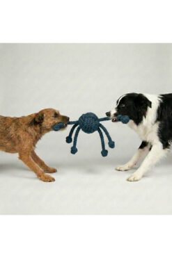 Tailpetz Çok Kollu Köpek Çekiştirme Oyuncağı