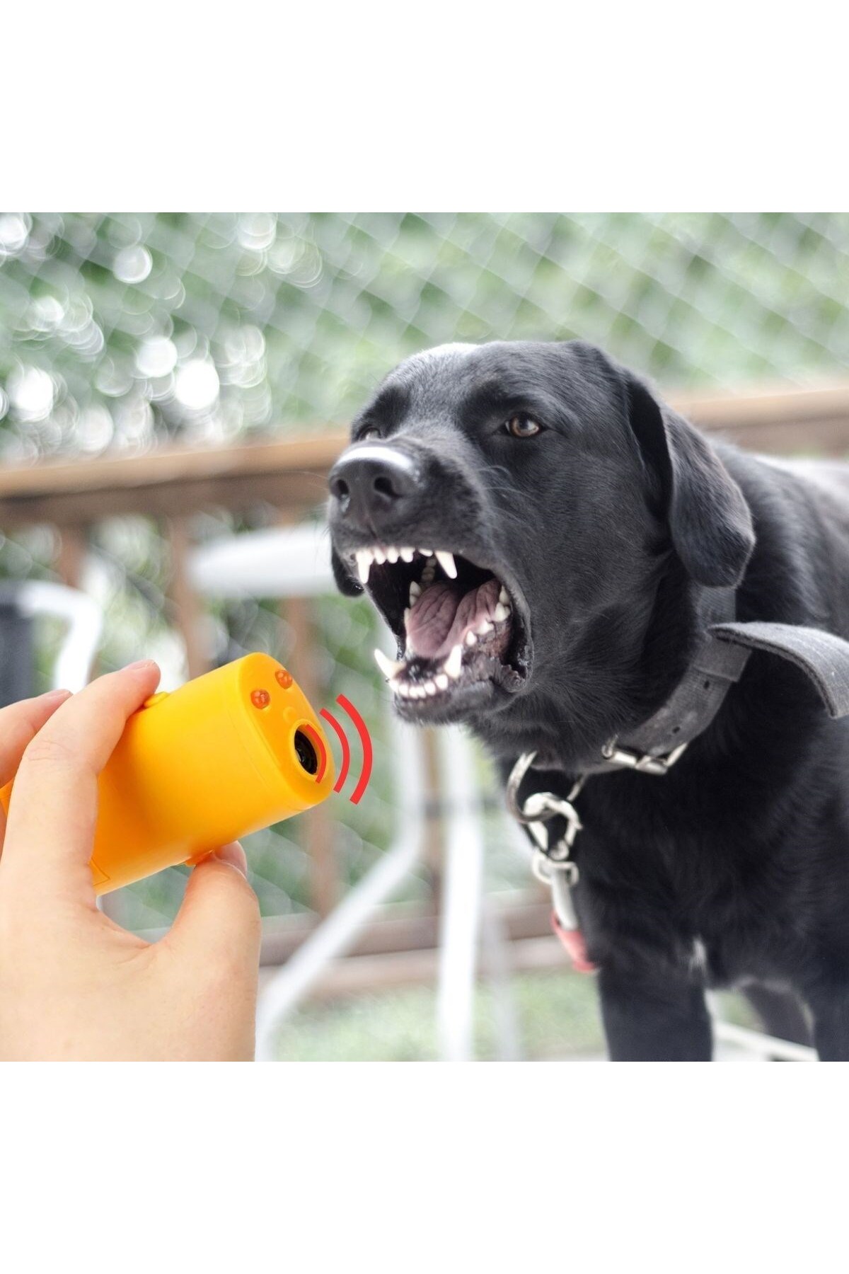 HvT ® Ultrasonik Köpeksavar Köpek Kovucu Köpek Kornası Eğitim Cihazı - Görsel 2