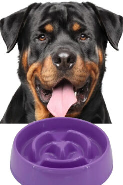 Genel Markalar Evcil Hayvan Yavaş Mama Yeme Kabı Yavaş Besleyici Kedi Köpek Mama Kabı Küçük Boy 175 ML 1450