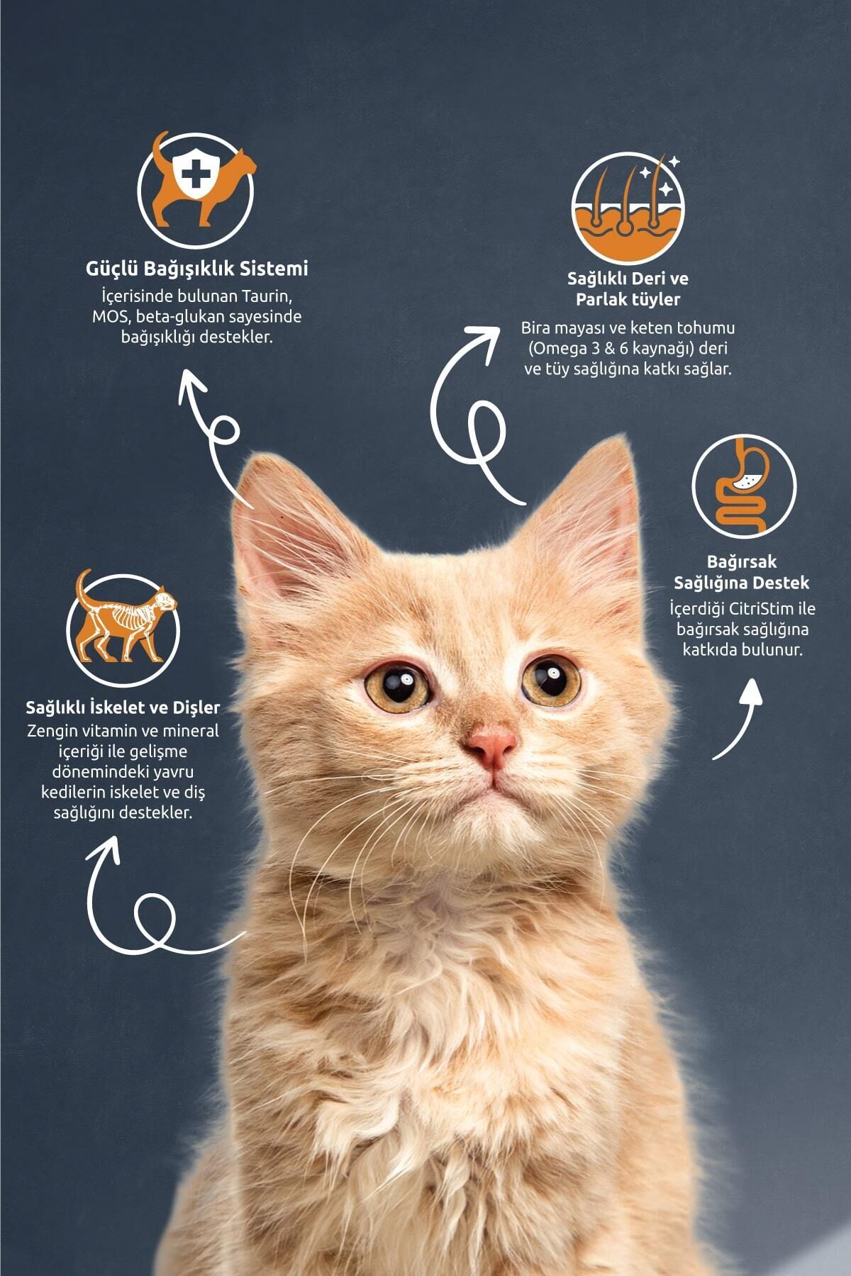 Reflex YAVRU KEDİ KİTTEN TAVUKLU PİRİNÇLİ 15 KG 1 ADET - Görsel 2