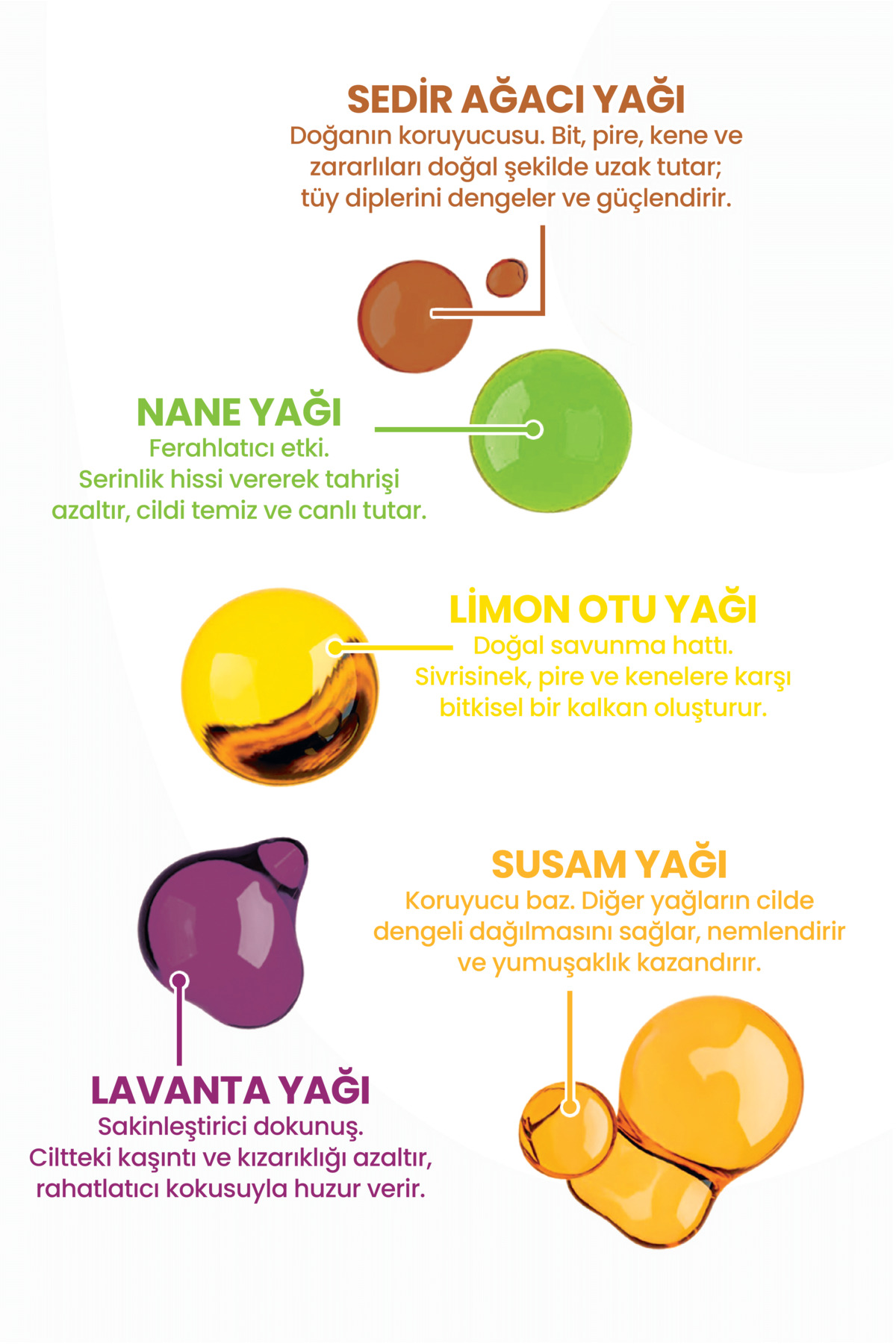 Cleanimal Kedi Dış Parazit Ense Deri Damlası | Bit, Pire ve Kene Karşıtı Doğal Koruma Damlası 5x1 ml - Görsel 2