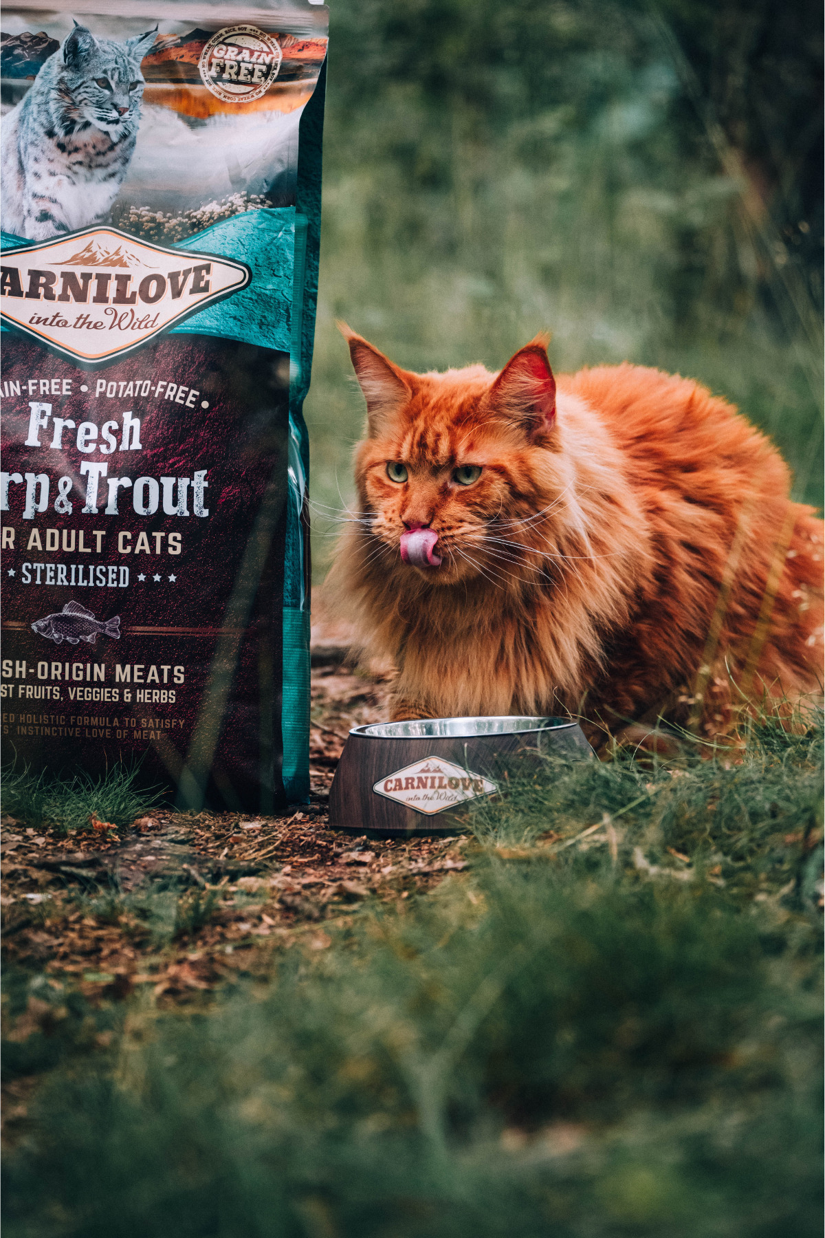 Carnilove Kısırlaştırılmış Kediler için Balıklı Tahılsız Kuru Mama 6 kg - Görsel 2