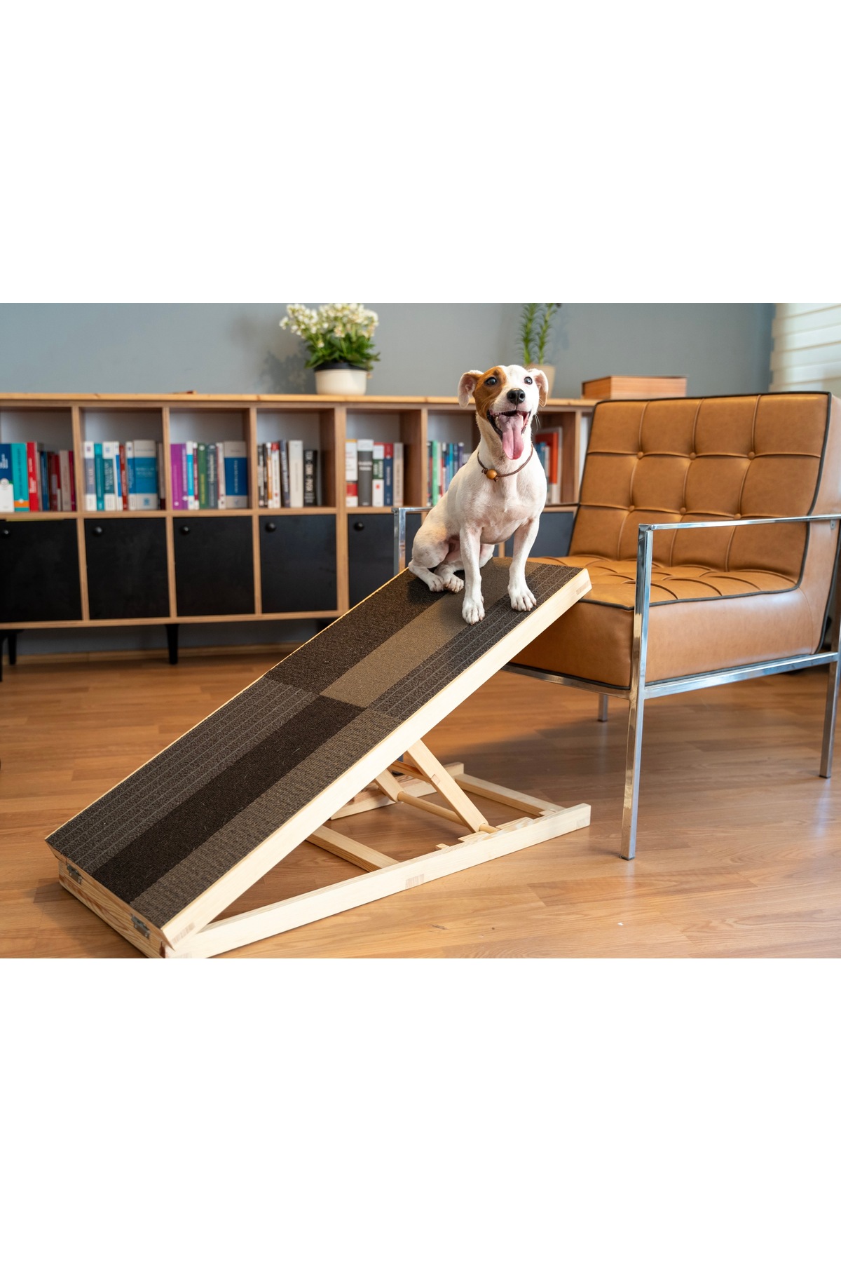 şantepe Ayarlanabilir Köpek Rampası Rampası