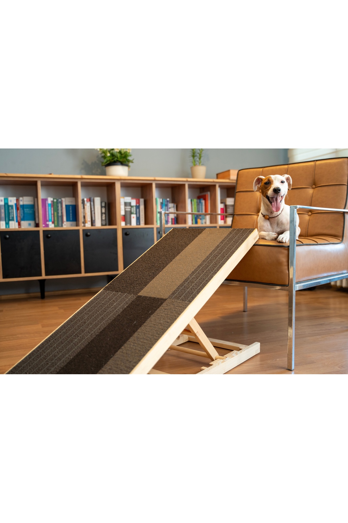 şantepe Ayarlanabilir Köpek Rampası Rampası - Görsel 2