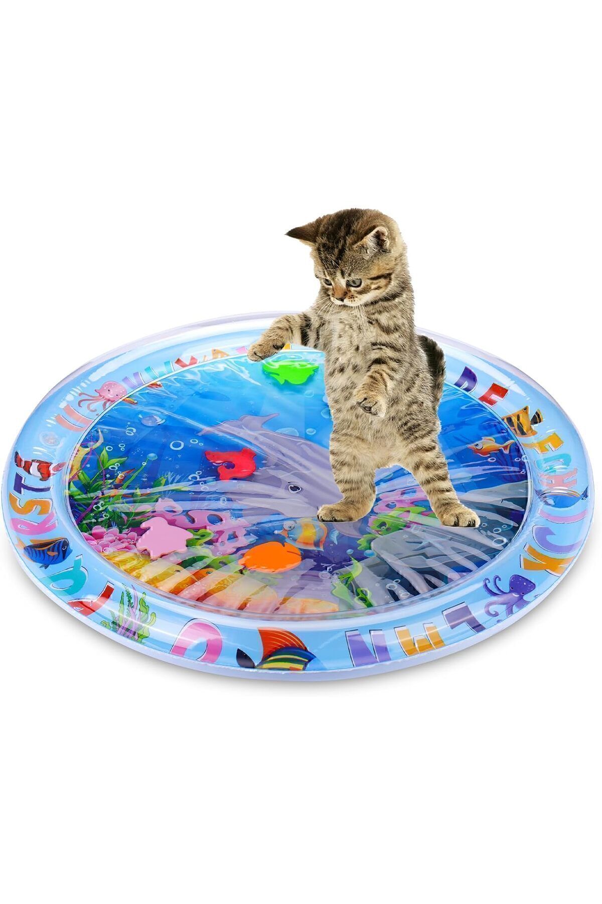 metafor Kediler için Su Duyusal Oyun Matı