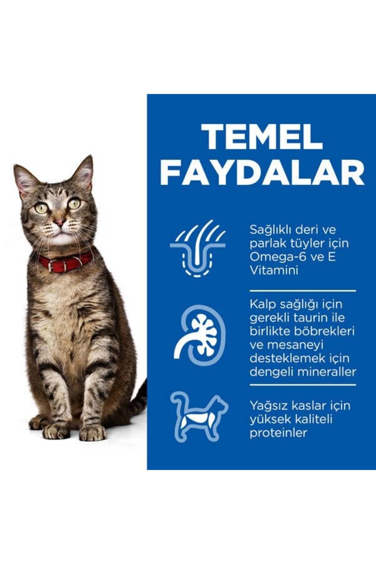 Hill's Hills Adult Ton Balıklı Yetişkin Kedi Maması 1.5 Kg - Görsel 3