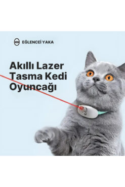 Kitchen Time Tease Cat Akıllı Lazer Tasma Kedi Oyuncağı eğitici kedi egzersiz oyuncağı Kedi Tasması Lazer