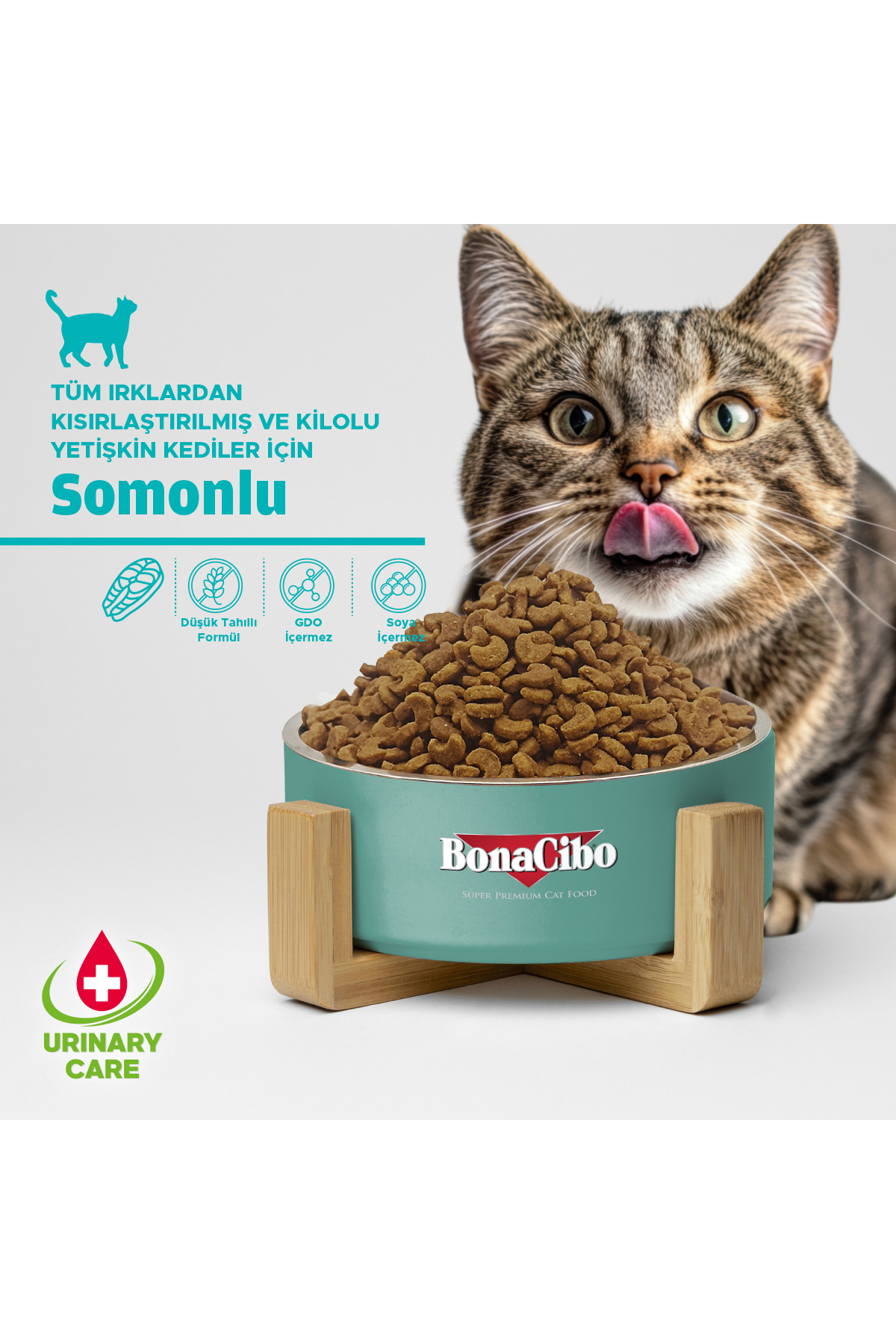 BonaCibo Adult Cat Sterilised Somonlu Kısırlaştırılmış Yetişkin Kedi Maması, 2 KgX2 Adt, Tüm Irklar, Şekersiz - Görsel 2