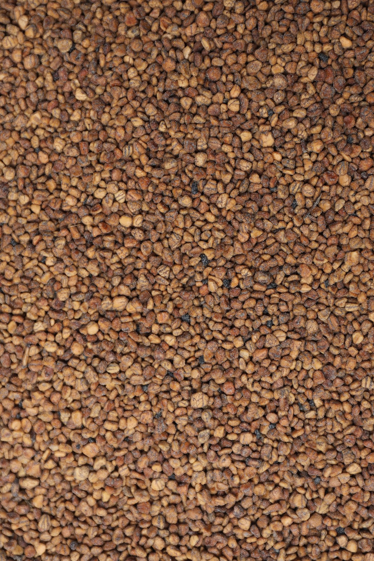 HK Cat Litter | Zeytin Çekirdeğinden Üretilen Aktif Karbonlu %100 Doğal Kedi Kumu 7.5L - Görsel 2