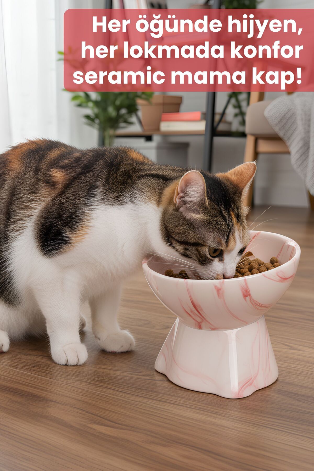 Pawicci Seramik Mama Kabı – Kedi ve Köpekler için Sağlıklı Mama Kasesi - Yükseltilmiş,Ayaklı Mama Kabı - Görsel 2