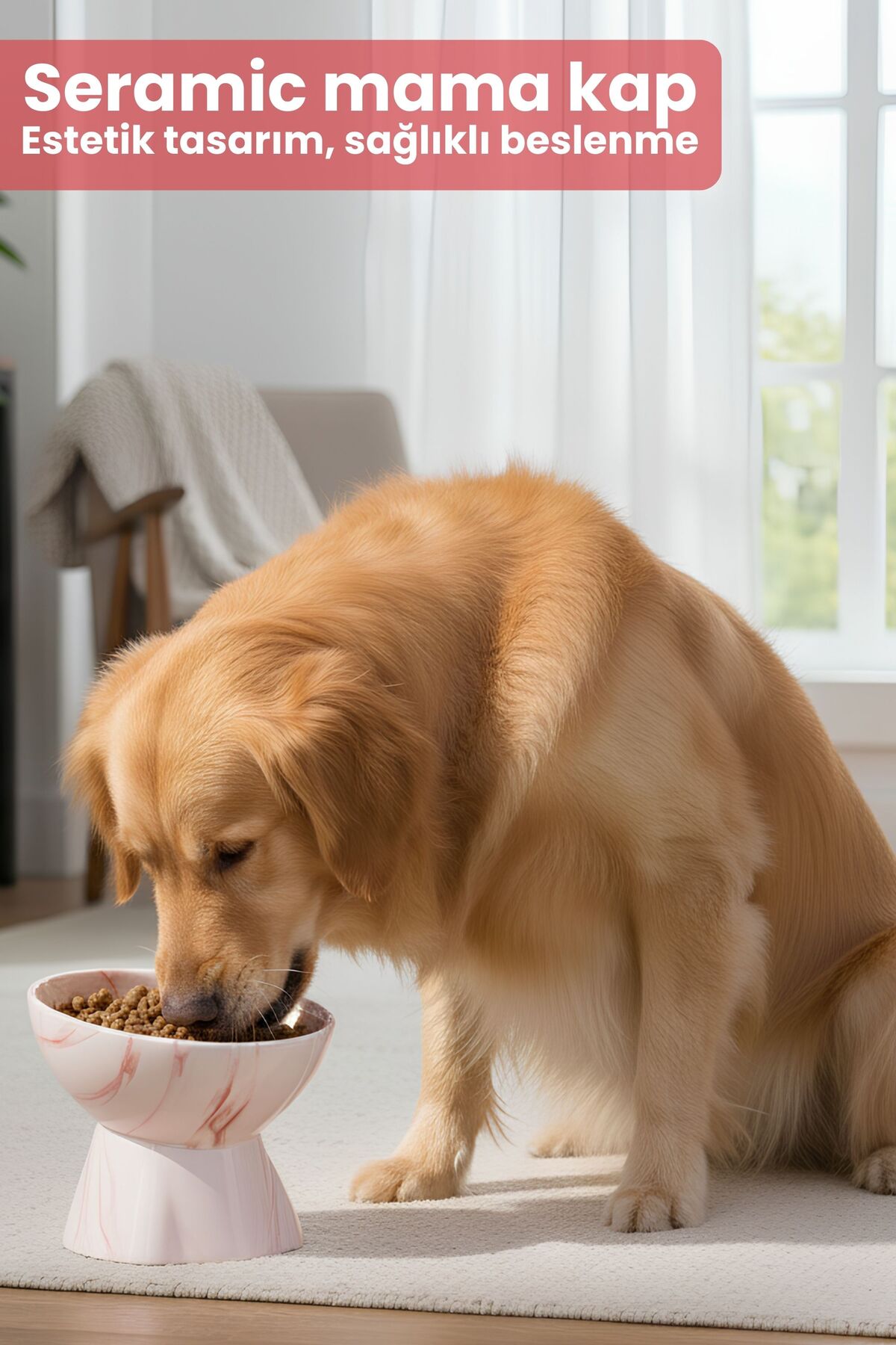 Pawicci Seramik Mama Kabı – Kedi ve Köpekler için Sağlıklı Mama Kasesi - Yükseltilmiş,Ayaklı Mama Kabı - Görsel 3