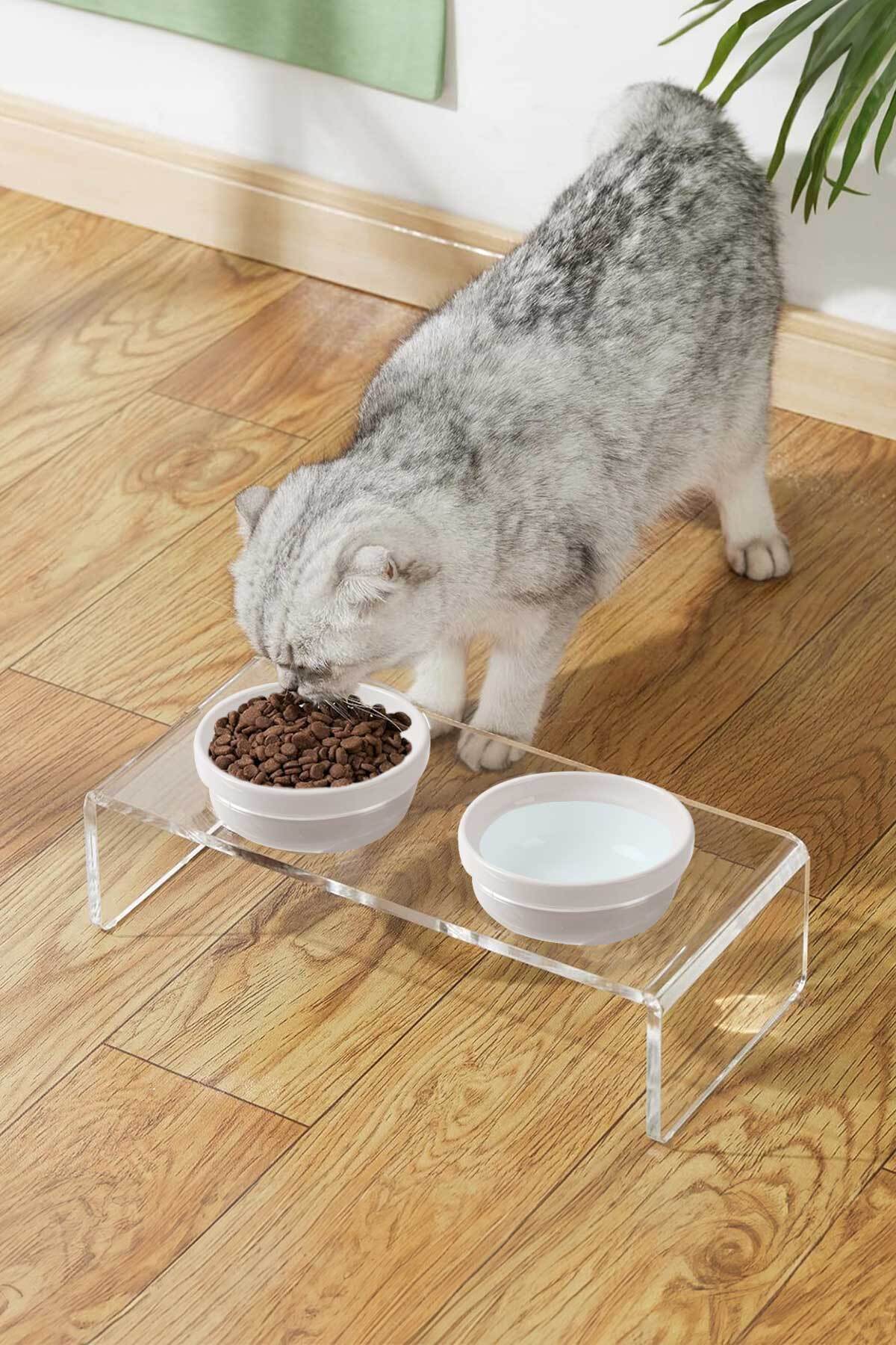 GOBYPET 2'li Seramik Dekoratif Kedi Ve Köpek Pleksi Mama & Su Kabı Paspas - Görsel 3