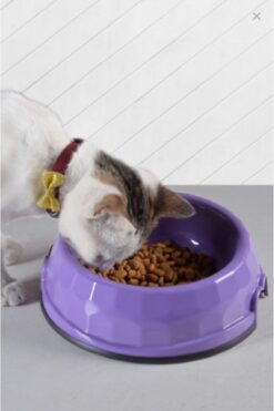 ARSPOLO Reyon Kedi Köpek Mama / Su Kabı Büyük Boy (mor)
