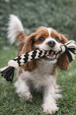 Tüylü Tezgah Köpek Oyun Halatı Köpek Diş Kaşıma Ipi Köpek Oyuncağı Köpek Eğitim Ipi