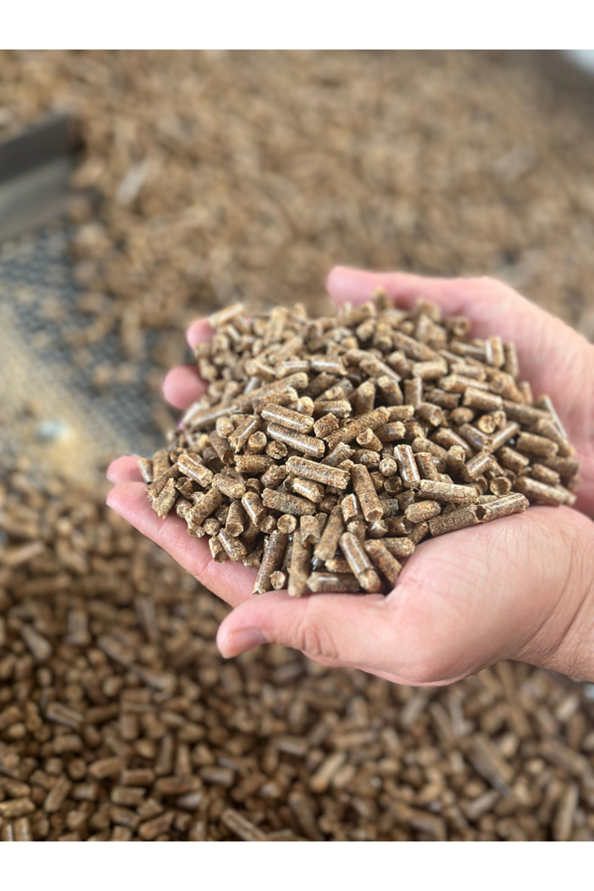 çam pelet Yakıtı %100 Doğal 10 Kg