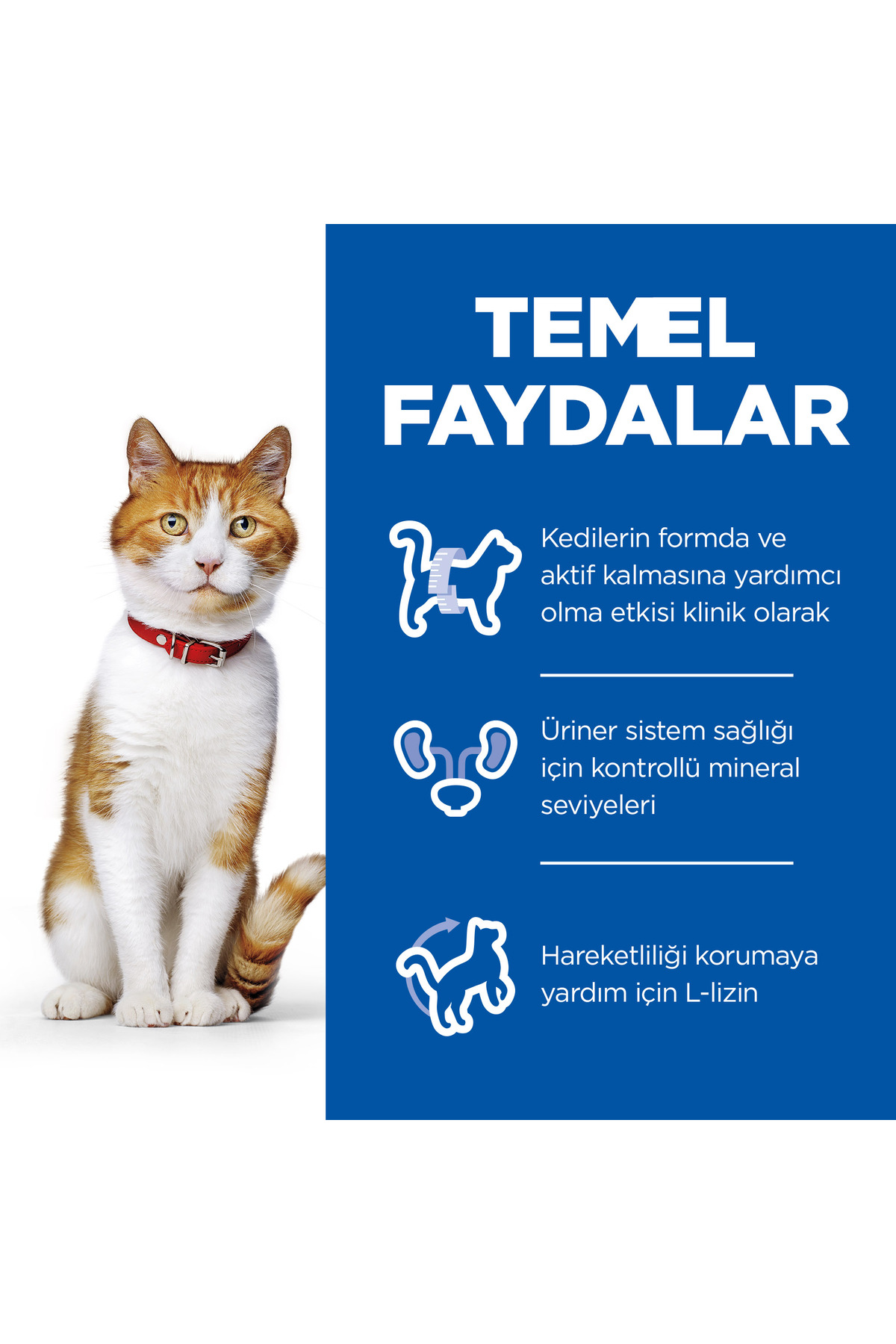 Hill's SCIENCE PLAN Tavuklu Kısırlaştırılmış Yetişkin Kedi Maması 3kg - Görsel 3