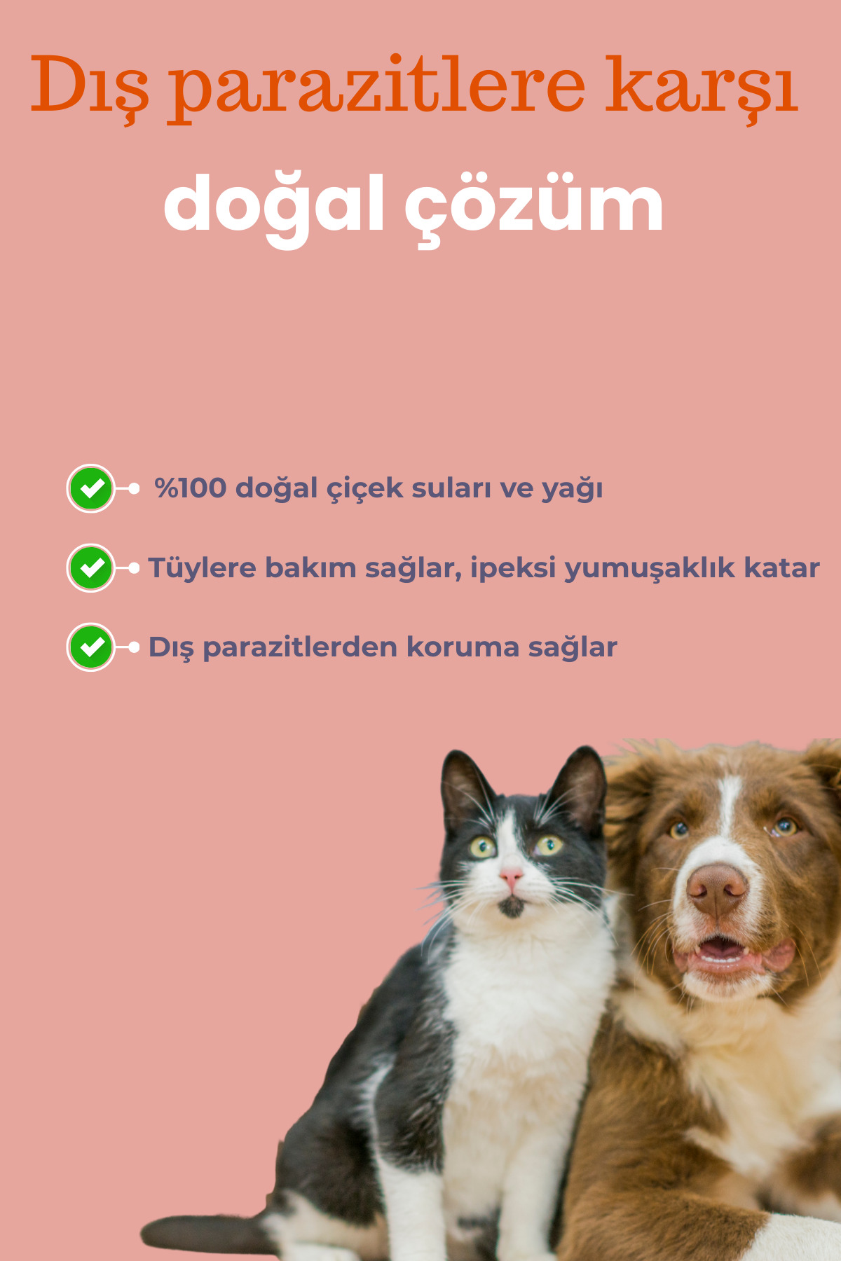 Dr.Lavender Evcil Hayvanlar İçin Lavanta Portakal Yağlı Bit Kene Pire Kovucu Tüy Koruyucu Sprey 150 ML - Görsel 2