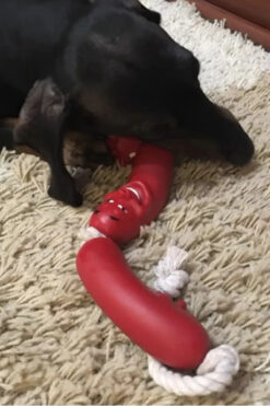 TİNEKE Sosis Köpekler İçin Oyuncak Köpek Oyuncağı