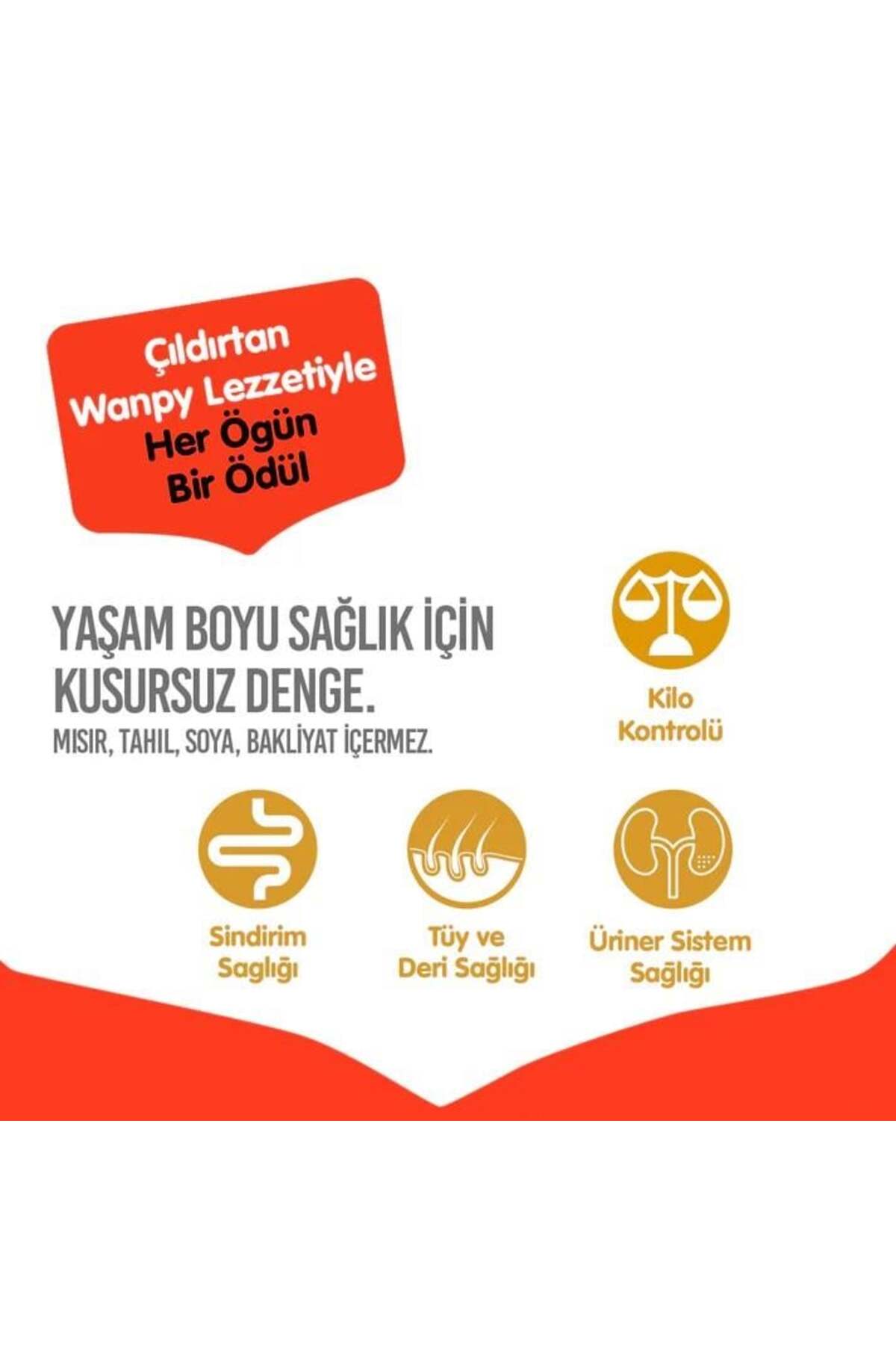 Wanpy Tahılsız Somonlu Yetişkin Kedi Maması 1.5 kg - Görsel 3