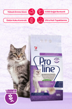 Pro Line Lavanta Kokulu Topaklanan Bentonit Kedi Kumu 10 Lt