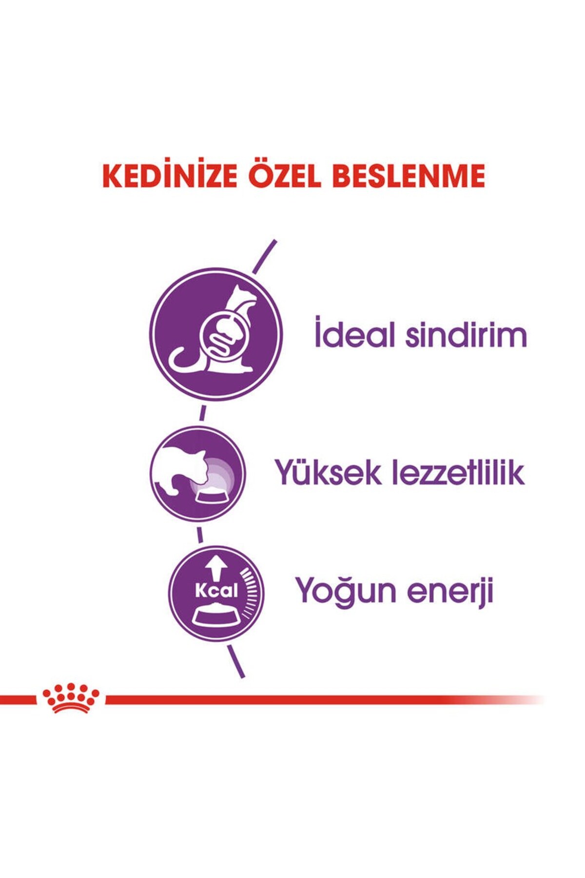 Royal Canin Sensible 33 Kuru Kedi Maması 4 Kg - Görsel 3