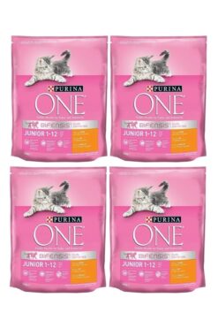 Purina One One Tavuklu Yavru Kedi Maması 800 Gr 4 Adet