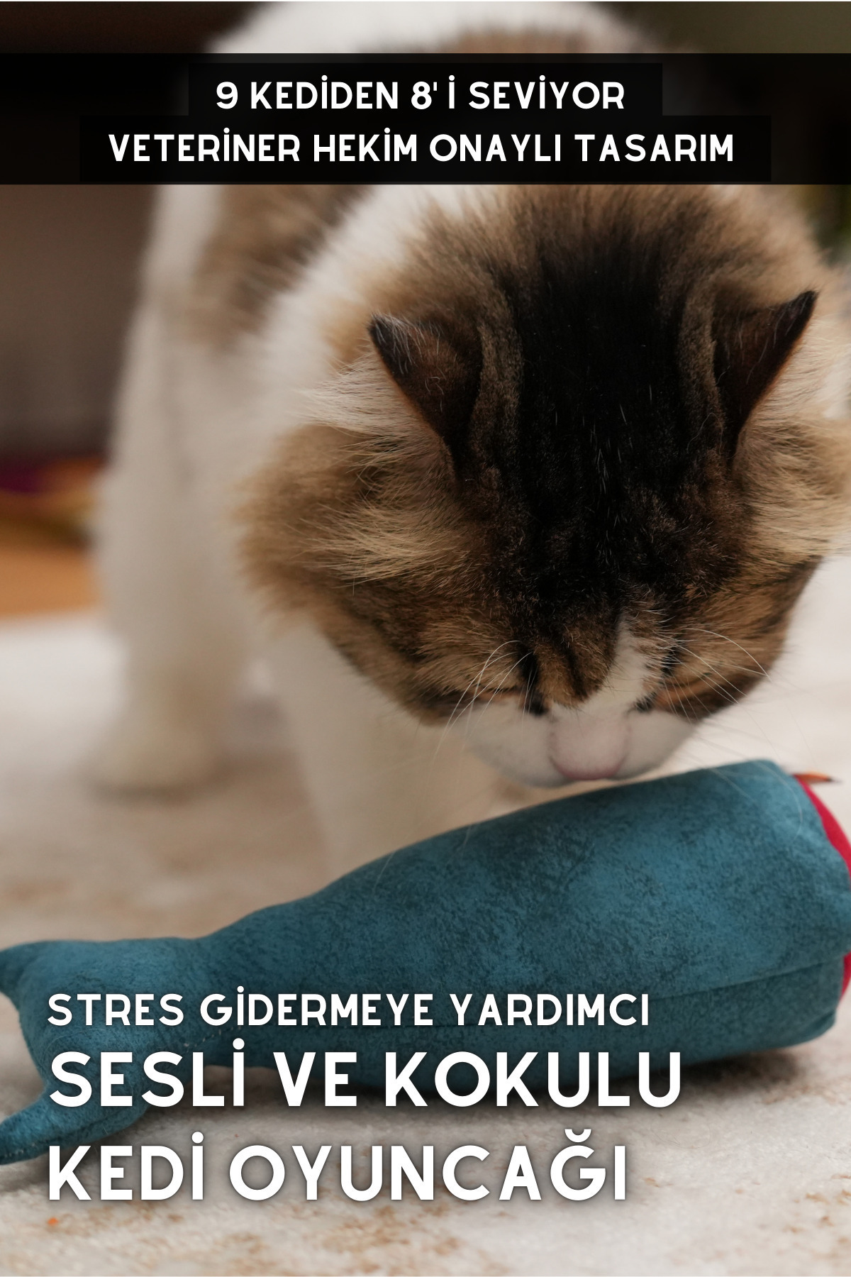 pawdaz Matatabi - Fısh (24x11cm) Bol Sesli, Bol Kokulu Kedi Oyuncağı - Görsel 2