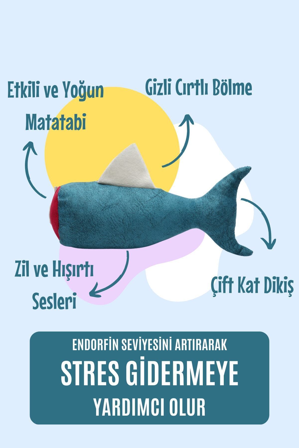 pawdaz Matatabi - Fısh (24x11cm) Bol Sesli, Bol Kokulu Kedi Oyuncağı - Görsel 3