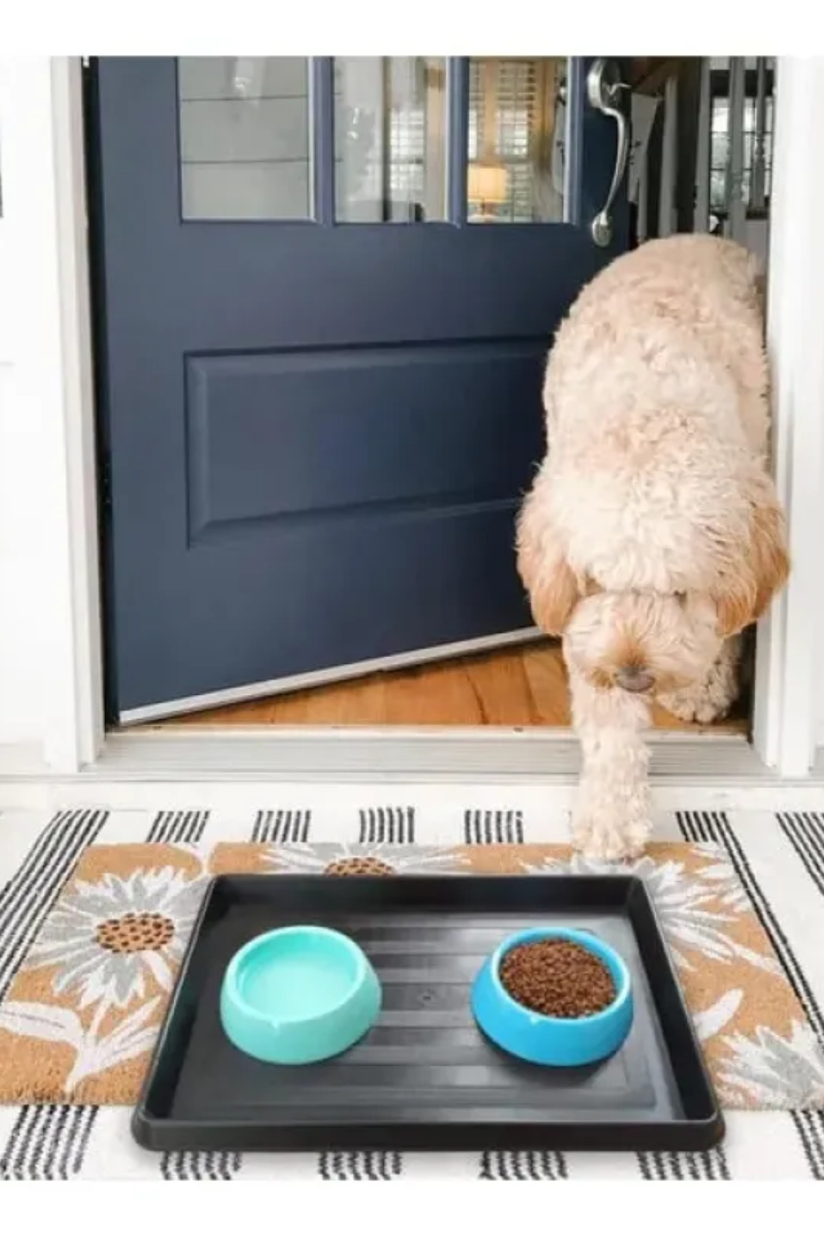 Hane Dostu Kaymaz Tabanlı Mama Kabı Altlığı – Su Geçirmez, Hijyenik ve Kolay Temizlenebilir - Görsel 2