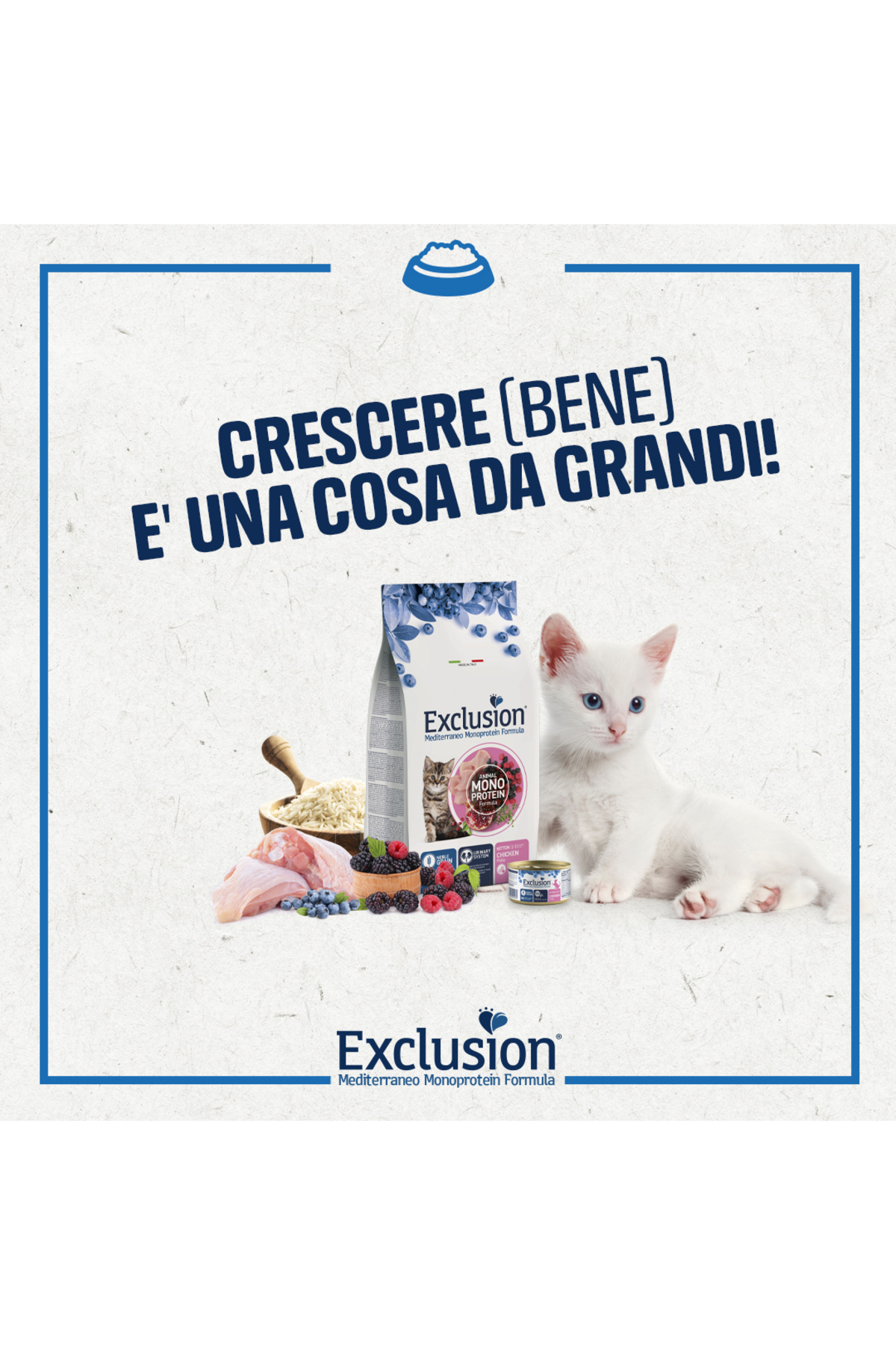 Exclusion Monoprotein Tavuklu Narlı Ve Yaban Mersinli Düşük Tahıllı Yavru Kedi Maması 12kg - Görsel 3