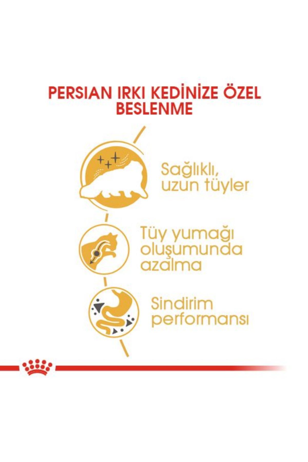 Royal Canin Persian Iran Kedilerine Özel Mama 400 Gr x 2 Adet - Görsel 3