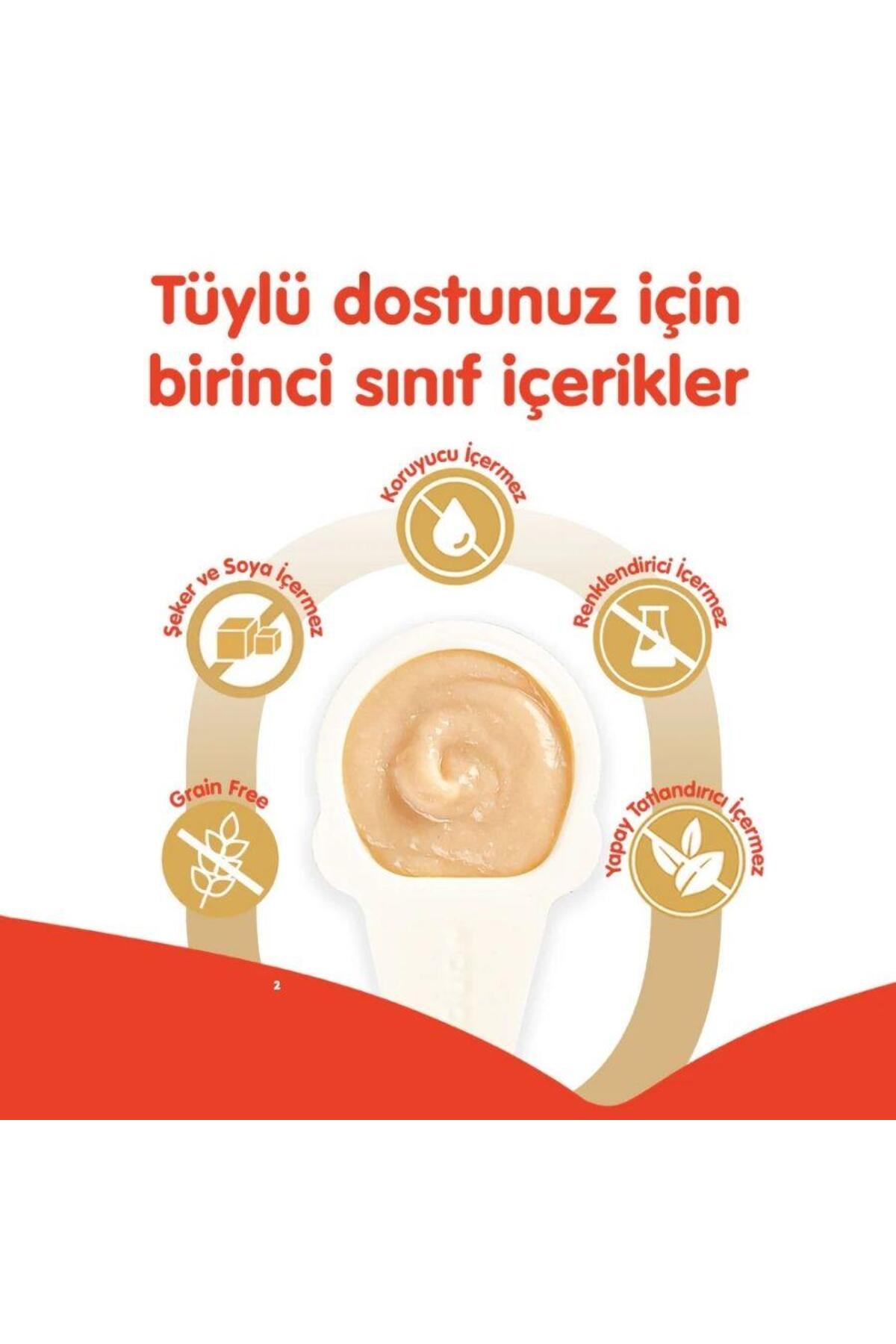 Wanpy Somonlu Kaşık Krema Kedi Ödül Maması 10x16 gr - Görsel 2